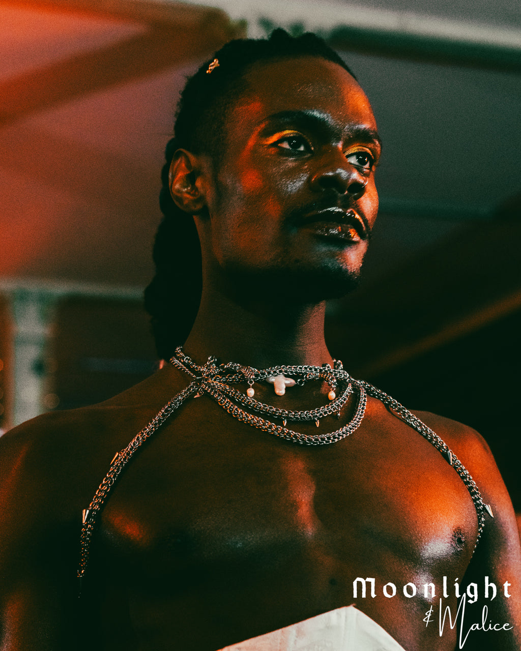 The Chandelier Statement Chainmail Piece in Stainless Steel