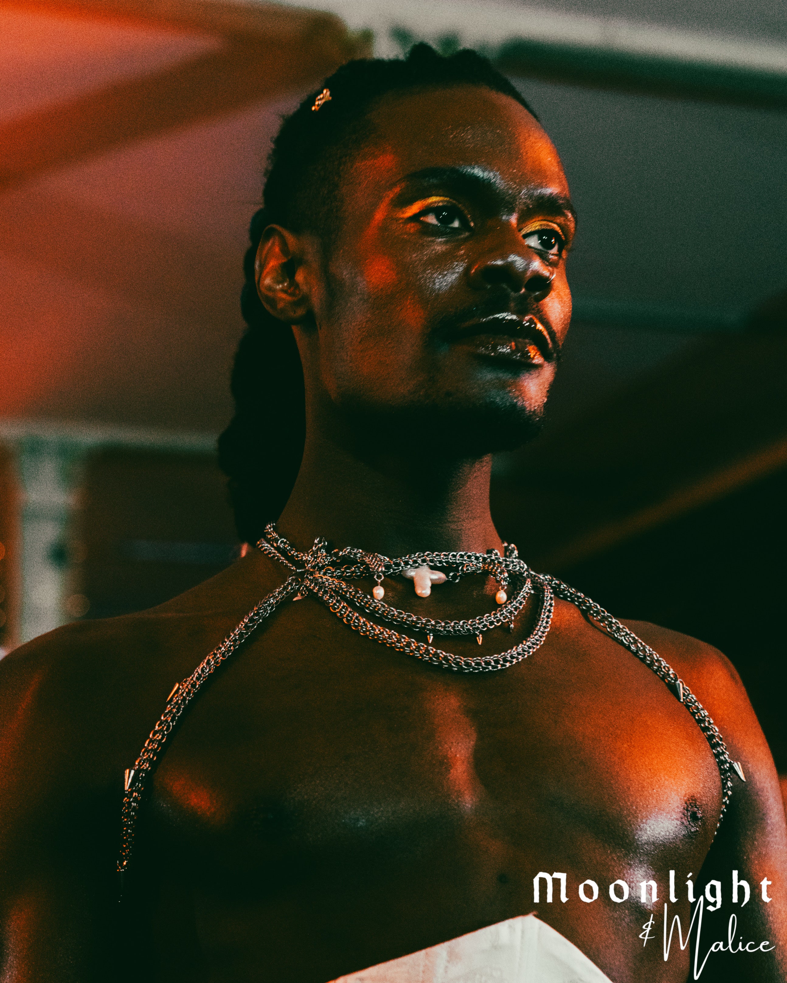 The Chandelier Statement Chainmail Piece in Stainless Steel